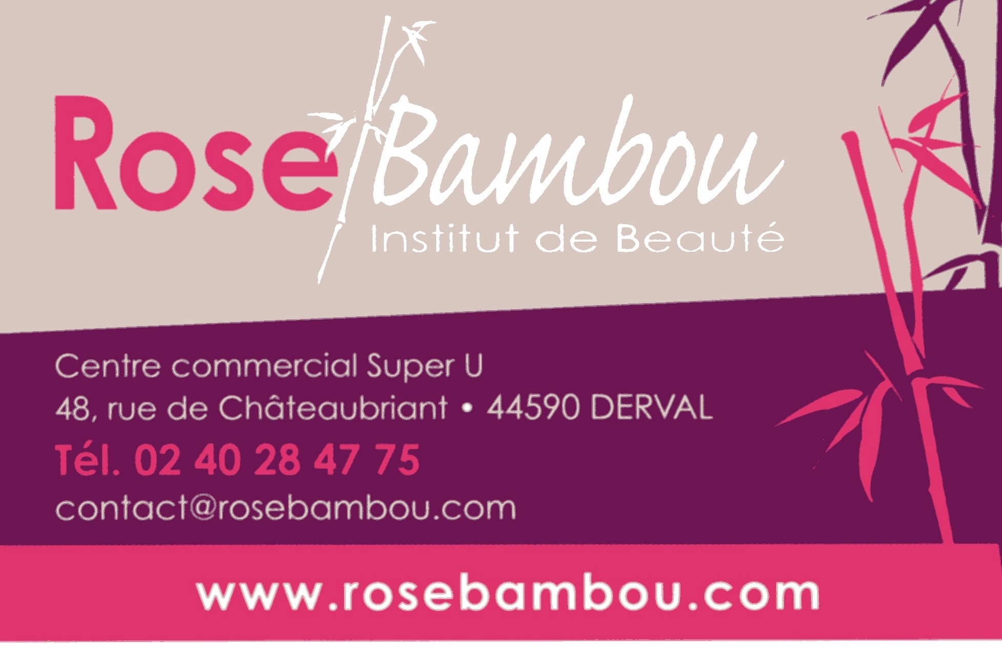 Rosebambou1